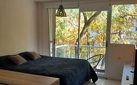 Arevalo Home Monoambiente B
